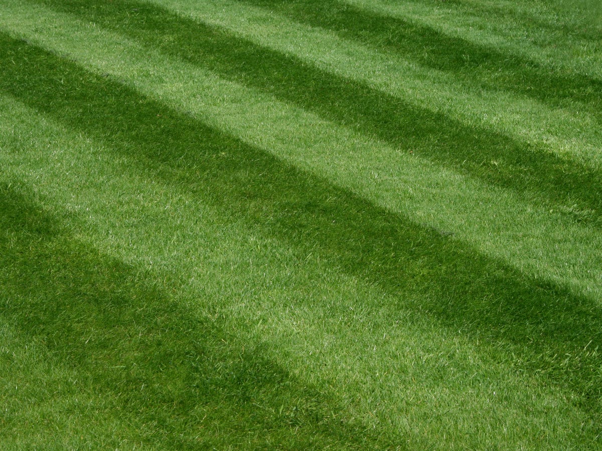Grass Cutting